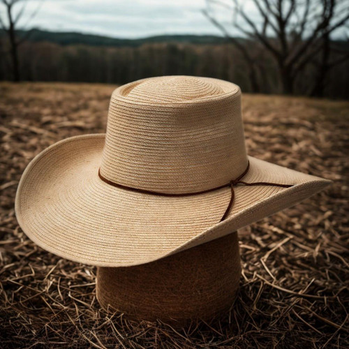 Sunbody Reata III Hat Natural (HG45+R3) display picture 1