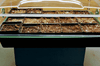 GIF of plants growing in large propagator over time.