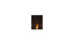 Flex 18SS Single Sided Fireplace Insert