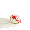 University of Wisconsin Helmet