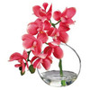 Phalaenopsis Pick in Glass Vase  10"