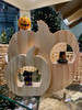 Mini Display Pumpkins 