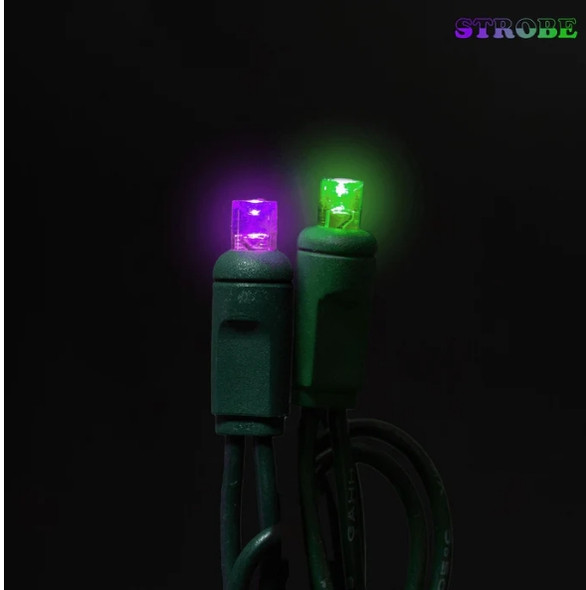 50 count Led Light Set Purple and Green