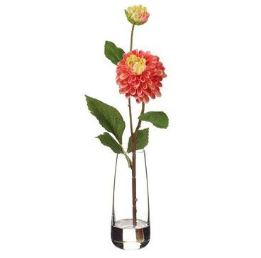 Dahlia Pick in Glass Vase  14"