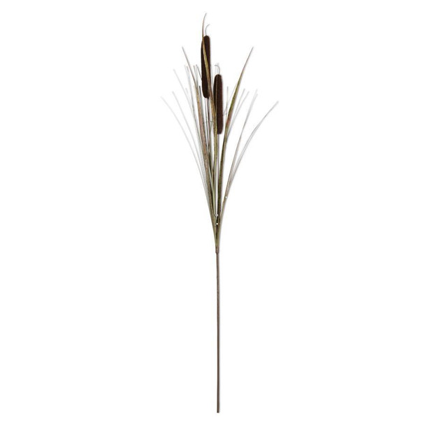 Dark Brown Double Cattail Stem  43"