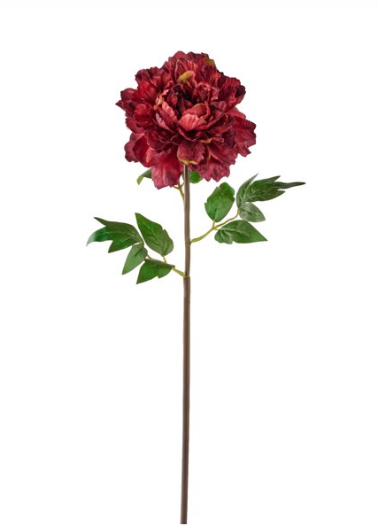 Velvet and Satin Peony Rustic Burgundy 23"