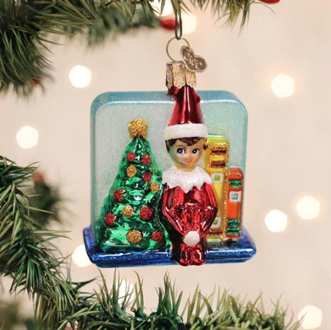 Old World Scout Elf Storytime Glass Christmas Ornament - Carol & Company