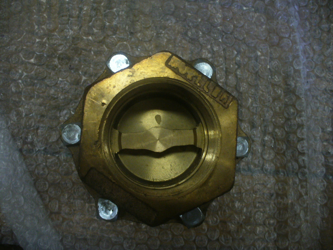 mueller check valves