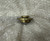 GARDNER DENVER NASH VALVE,CHECK P/N PF-8100