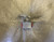 PARKER-TELEDYNE VALVE,PLUG P/N 8411E6D2P