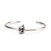 Trollbeads Dolphin Spacer on Bangle