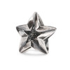 Trollbeads Capricorn Star, Back