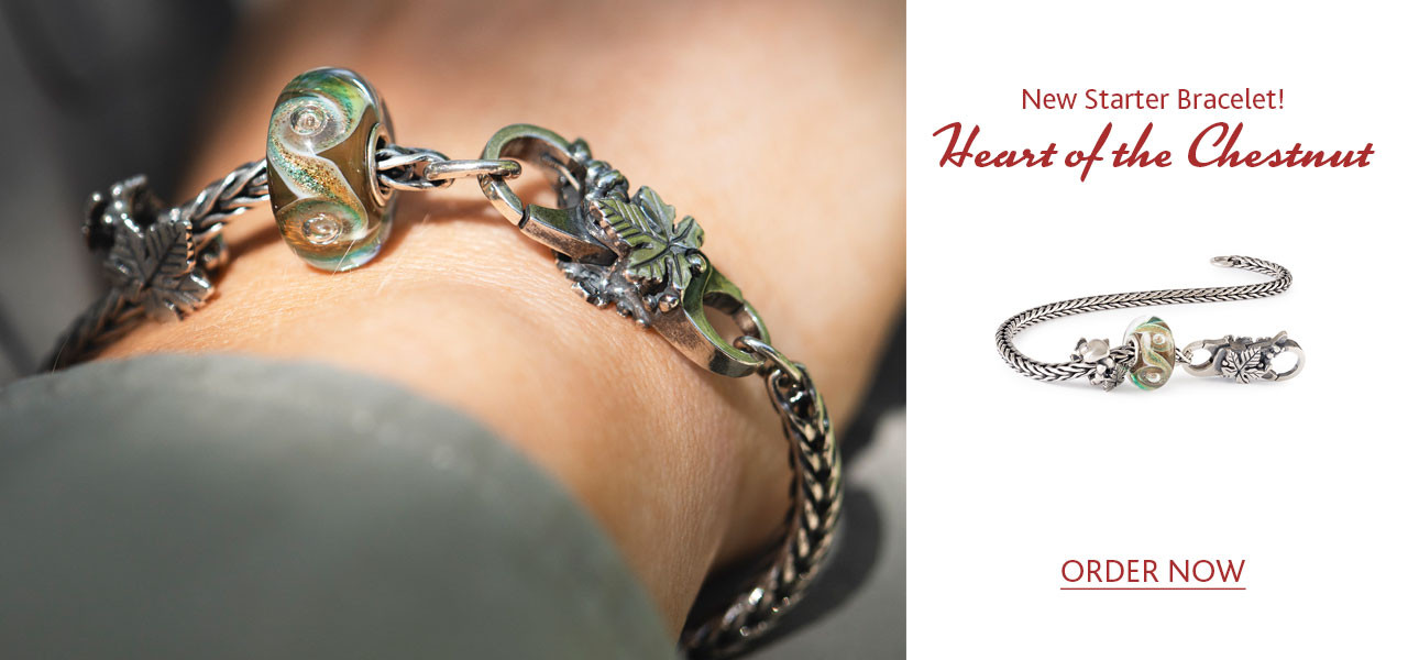 Trollbeads Heart of the Chestnut starter bracelet