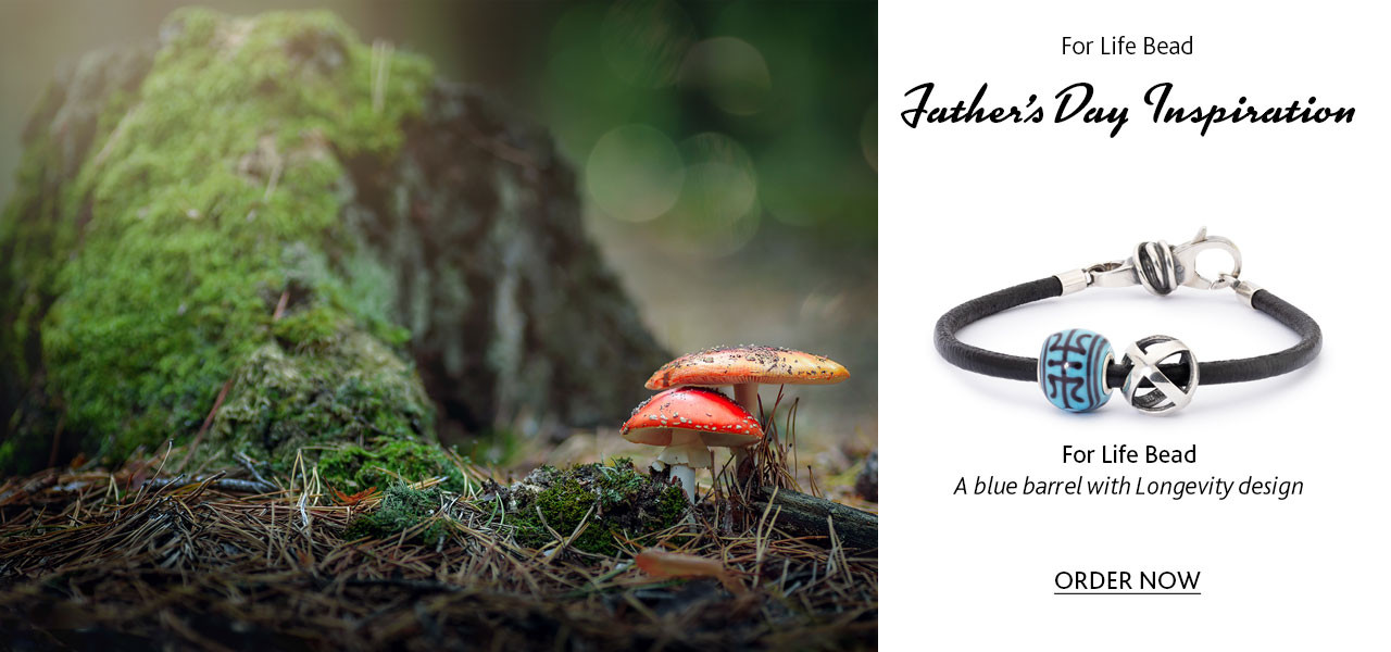 Trollbeads Father's Day