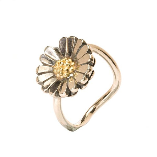 Trollbeads Daisy Jubilee | Limited Edition Bead | TrollbeadsAkron.com