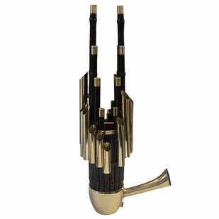 Professional Level Chinese Ancient Instrument Golden Sheng 17 Pipes With Case 笙 Professional Level Chinese Ancient Instrument Golden Sheng 17 Pipes With Case 笙