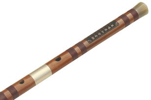 Buy Professional Chinese Bitter Bamboo Flute Dizi Instrument with Accessories 笛子
