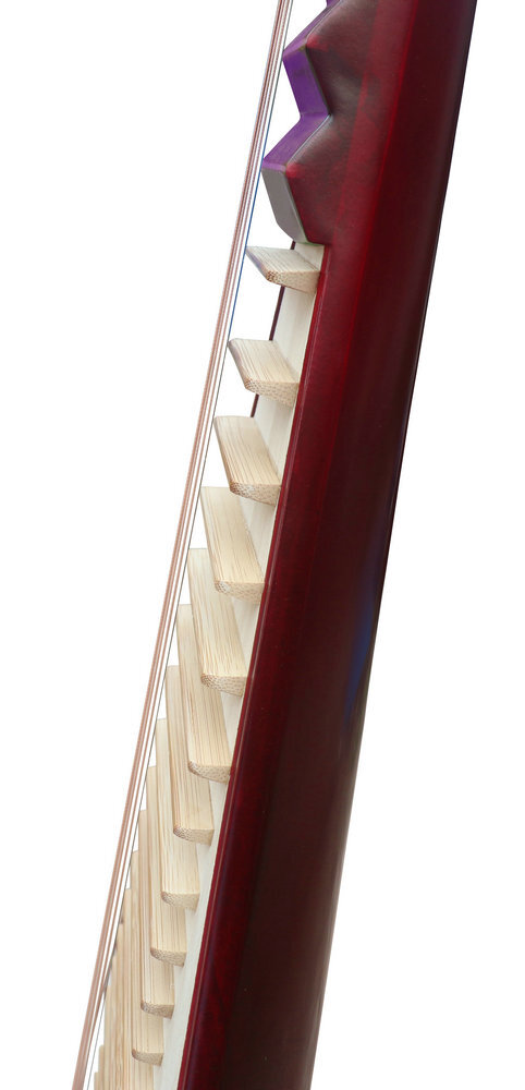 Buy Quality Hardwood Pipa Musical Instrument Chinese Lute With Accessories 琵琶