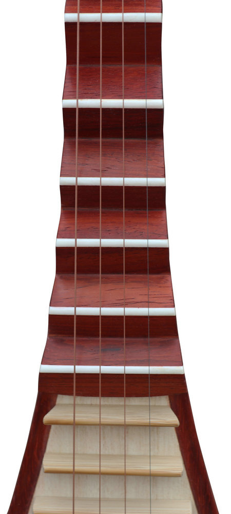 iProfessional Travel Size Rosy Sandalwood Pipa Instrument Chinese Lute With Accessories 琵琶
