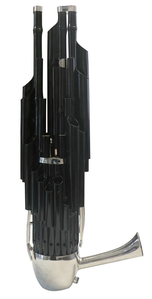 Buy Concert Grade Chinese Mouth Organ Black Sheng 24 Pipes & Extra Keyboards With Case 笙
