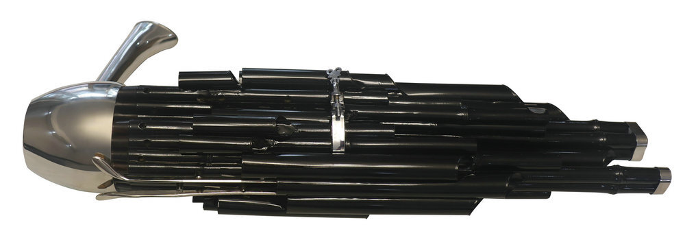 Buy Concert Grade Chinese Mouth Organ Black Sheng 24 Pipes & Extra Keyboards With Case 笙