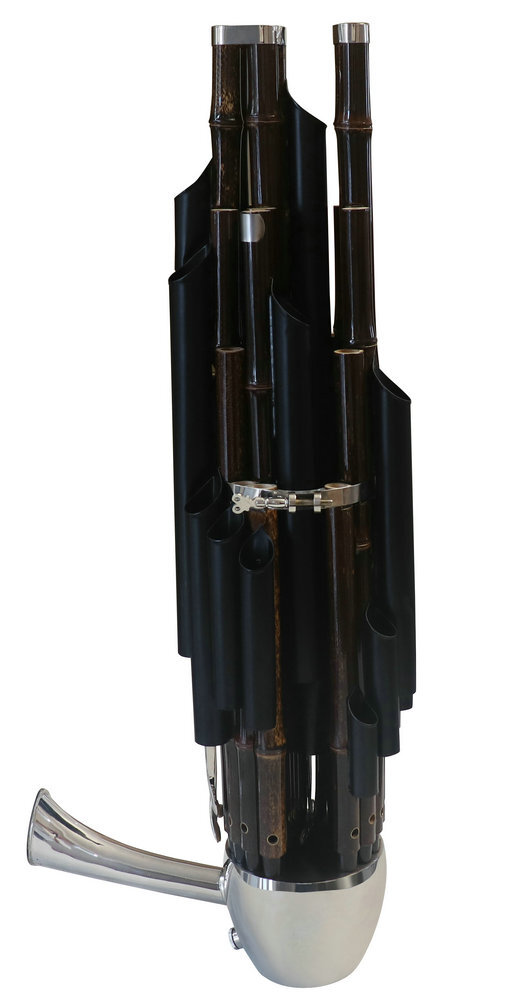 Buy Concert Grade Chinese Ancient Instrument Sheng 21 Pipes Bamboo and Black Pipes  & Extra Keyboards With Case 笙
