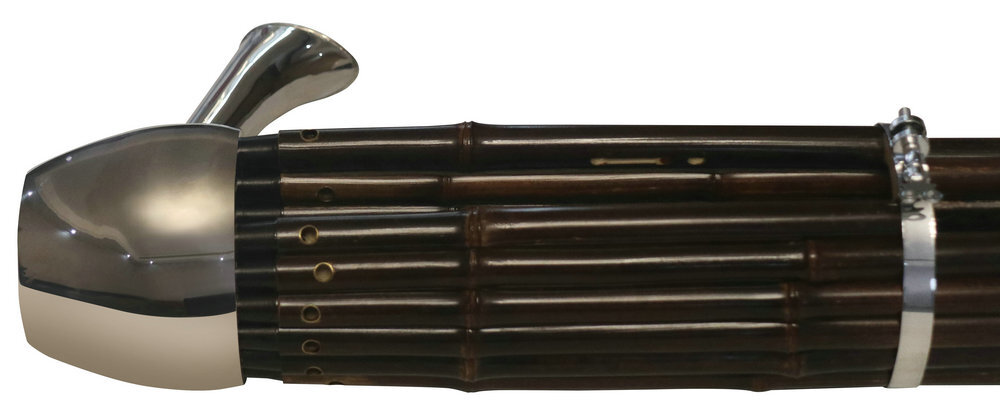 Buy Professional Level Chinese Ancient Instrument Sheng 21 Pipes With Case 笙