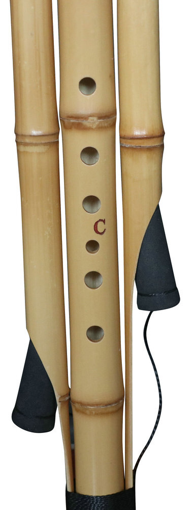 Buy Premium Quality Plain Style Baked Chinese Yunnan Free Reed Gourd & Golden Bamboo Instrument Hulusi 葫芦丝