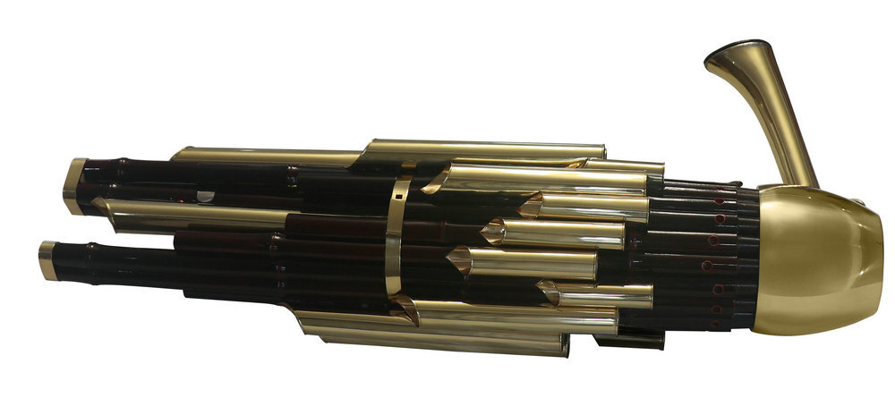 Buy Concert Grade Chinese Ancient Instrument Golden Sheng 21 Pipes & Extra Keyboards With Case 笙