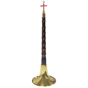 Buy Suona Instrument Concert Grade Aged Rosewood Suona Instrument ...