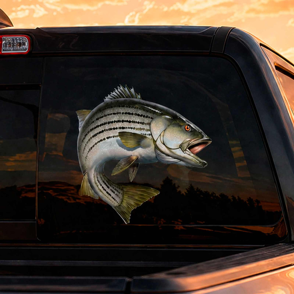 Striper Striped Bass Fishing Decal Set