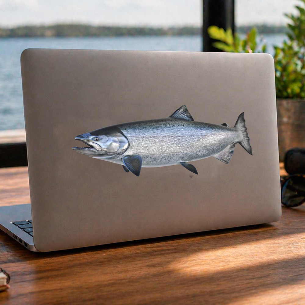 King Salmon Fish Decal