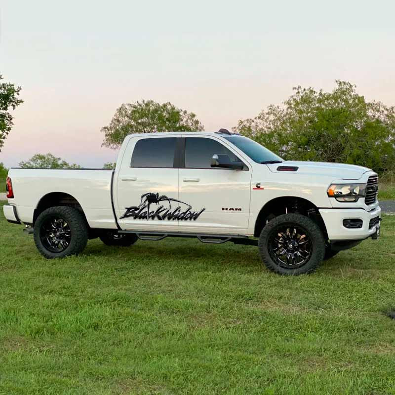 Black Widow Spider Carbon Fiber Decal Set