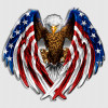  Bald Eagle American Flag USA Decal