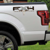 FX4 Texas Edition Longhorn Truck Decals