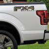 Twisted Timber Camouflage FX4 Truck Decal Set