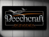 Beechcraft Bonanza Aircraft Banner