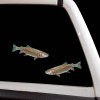 Rainbow Trout Creek Fishing Decal Set