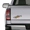 Rainbow Trout Creek Fishing Decal Set