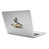 Rainbow Trout Fishing Fish Decal