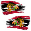 Chicago Blackhawks Hockey Flag Decal Set
