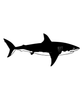 Great White Shark Profile Sticker Great White Shark Profile Sticker