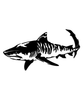 Tiger Shark Sticker Tiger Shark Sticker