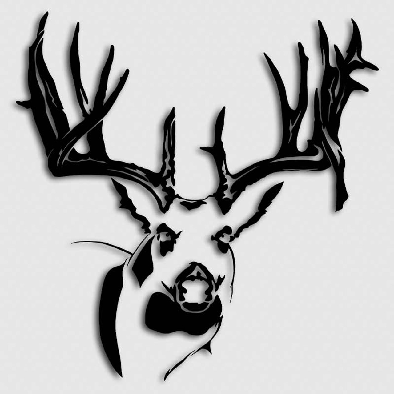 whitetail buck head drawing