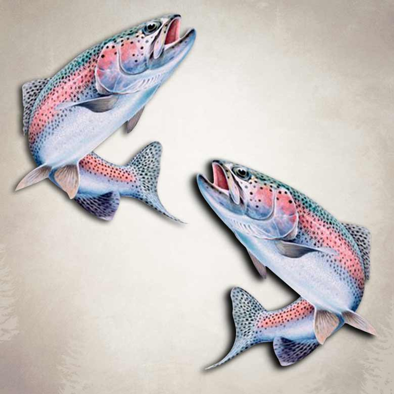 Rainbow Trout Fly Fishing Decal Fishing Sticker