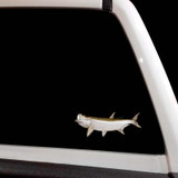 Tarpon Fishing Fish Decal Set