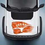 Texas Longhorns Distressed Flag Decal Set