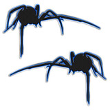 Black Widow Spider Vinyl Decal Set