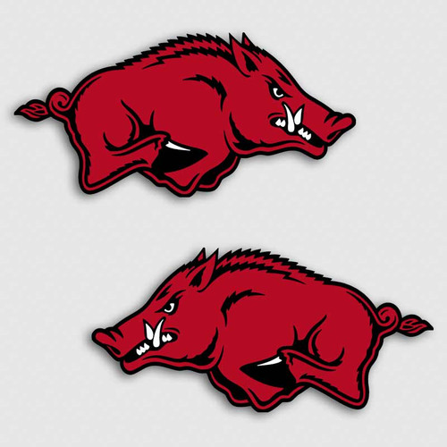 Razorbacks Feral Pig Vinyl Decals