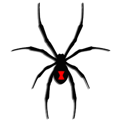 Black Widow Hourglass Spider Decal